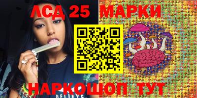 крисы Гай