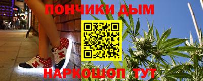 крисы Гай
