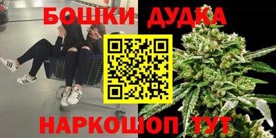 СК Гагарин