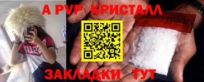 крисы Гай