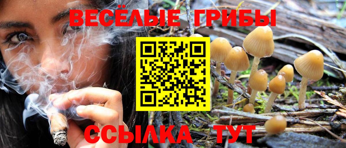 Псилоцибиновые грибы ЛСД  Вход с VPN  Нефтекамск  Галлюциногенные грибы Psilocybine cubensis 